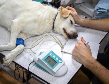 Clinique vétérinaire